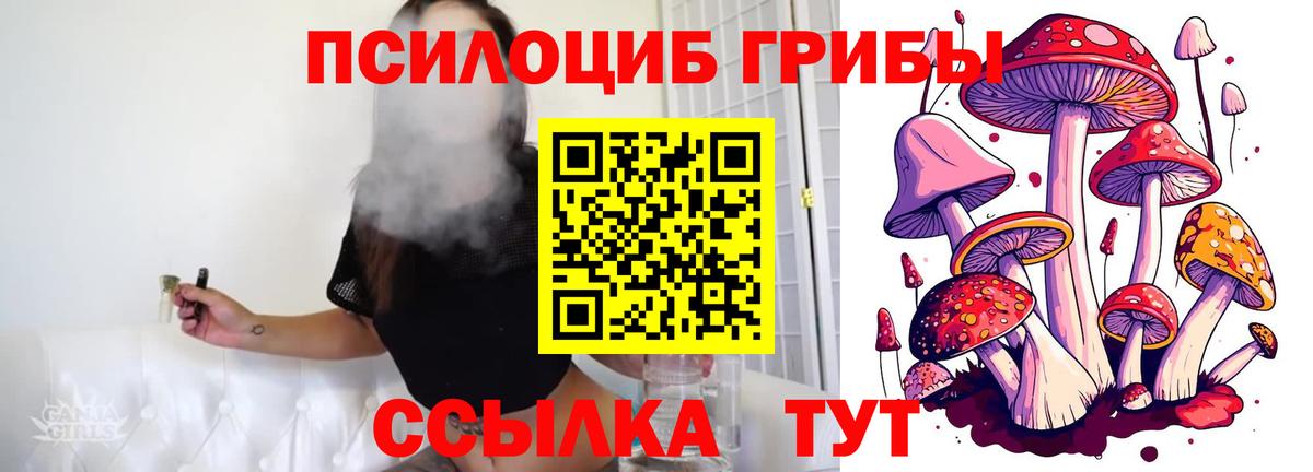 купить наркотики цена  Псилоцибиновые грибы ЛСД  Вход с VPN  Верхний Уфалей 